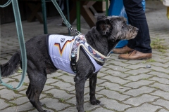 2026-06-Sommerfest-62
